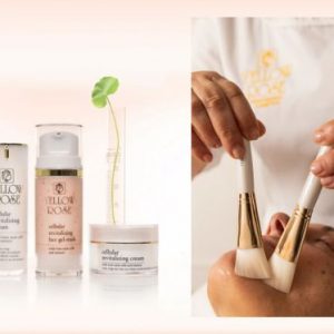 Cellular Revitalizing + Exosomes